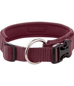 Collier pour chien Becks