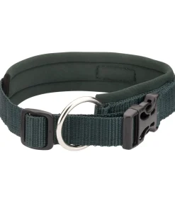 Collier pour chien Becks