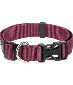 Collier pour chien Champ