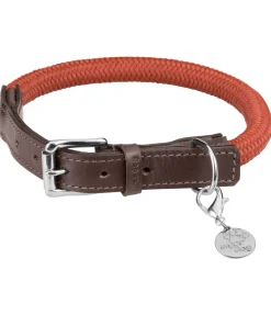 Collier pour chien Rope
