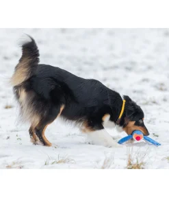 Collier pour chien Rope