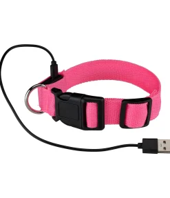 Collier pour chien LED Sugar Dog Loom