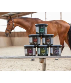 Complément minéral premium Métabolisme