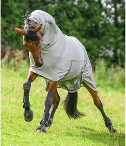 Couverture anti-eczéma avec rabat ventral Gibson II