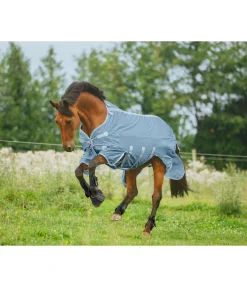 Couverture anti-mouches technique Cool Down