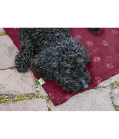 Couverture polaire Charly