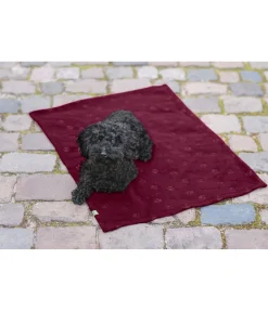 Couverture polaire Charly