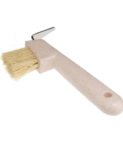 Cure-pied Circle of Life