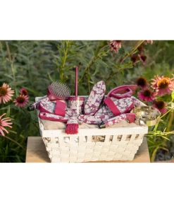 Cure-pied Pink Magnolia