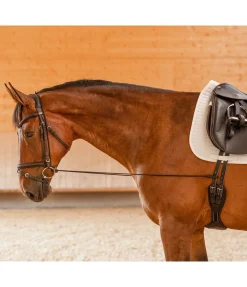 Enrênement long éducatif