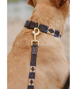 Ensemble collier et laisse en cuir pour chien Polo Sports