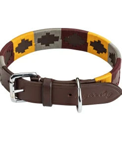 Ensemble collier et laisse en cuir pour chien Polo Sports