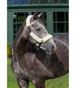 Ensemble de protections en polaire Teddy pour licol - 4 éléments