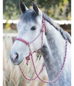 Ensemble licol à noeuds All-in-One