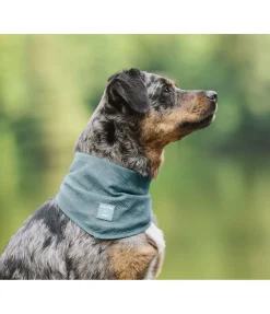 Foulard pour chien Cooling