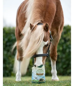 Friandises à base de tourteau de lin Nature