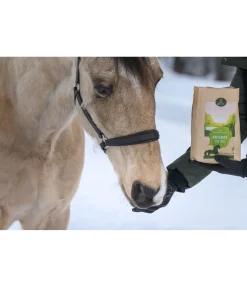 Friandises à la noisette Out of the Woods