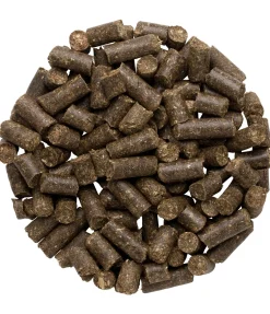 Friandises Nature Pomme