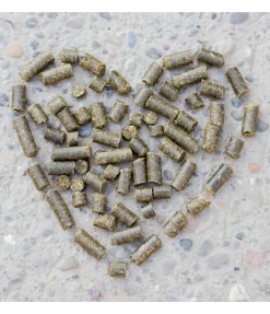 Friandises au chanvre Nature