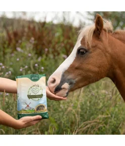 Friandises au chanvre Nature