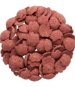 Friandises fleurs orange sanguine et argousier