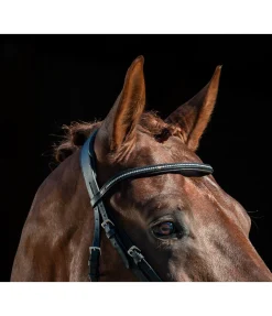 Frontal scintillant en cuir gras Mix & Match PRO