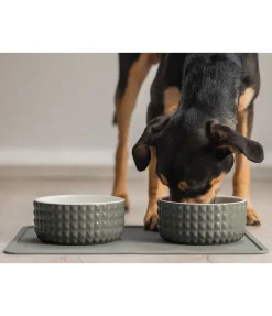 Gamelle en céramique Berkeley