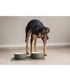 Gamelle en céramique Berkeley