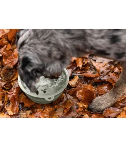 Gamelle pliable pour chien Classic Line