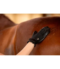 Gants de nettoyage Groomy