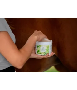 Gel anti-insectes à l'huile de neem