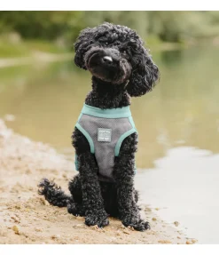 Gilet rafraîchissant pour chien Refresh