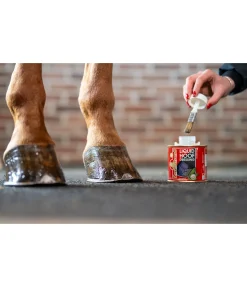 Graisse liquide pour sabots