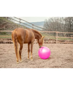Grosse balle de jeu pour cheval