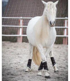 Guêtres de dressage antérieures en polaire Teddy