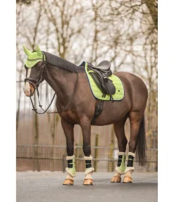 Guêtres de dressage en polaire Teddy Essential (postérieurs)