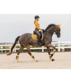 Guêtres de dressage en polaire Teddy Essential (antérieurs)