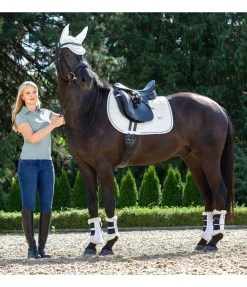 Guêtres de dressage en polaire Teddy Essential (postérieurs)