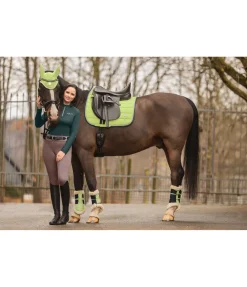Guêtres de dressage en polaire Teddy Essential (antérieurs)