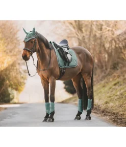 Guêtres en mesh Glitter, postérieurs