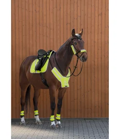 Guêtres réfléchissantes