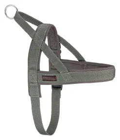 Harnais norvégien Miley