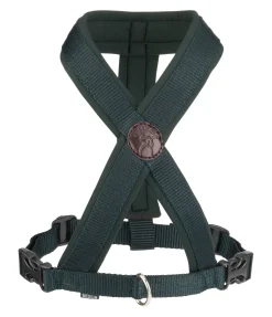 Harnais pour chien Piper