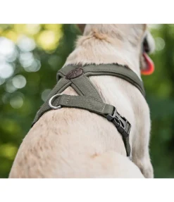 Harnais pour chien Piper