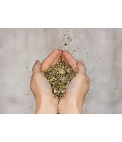 Herbes Automne & Hiver