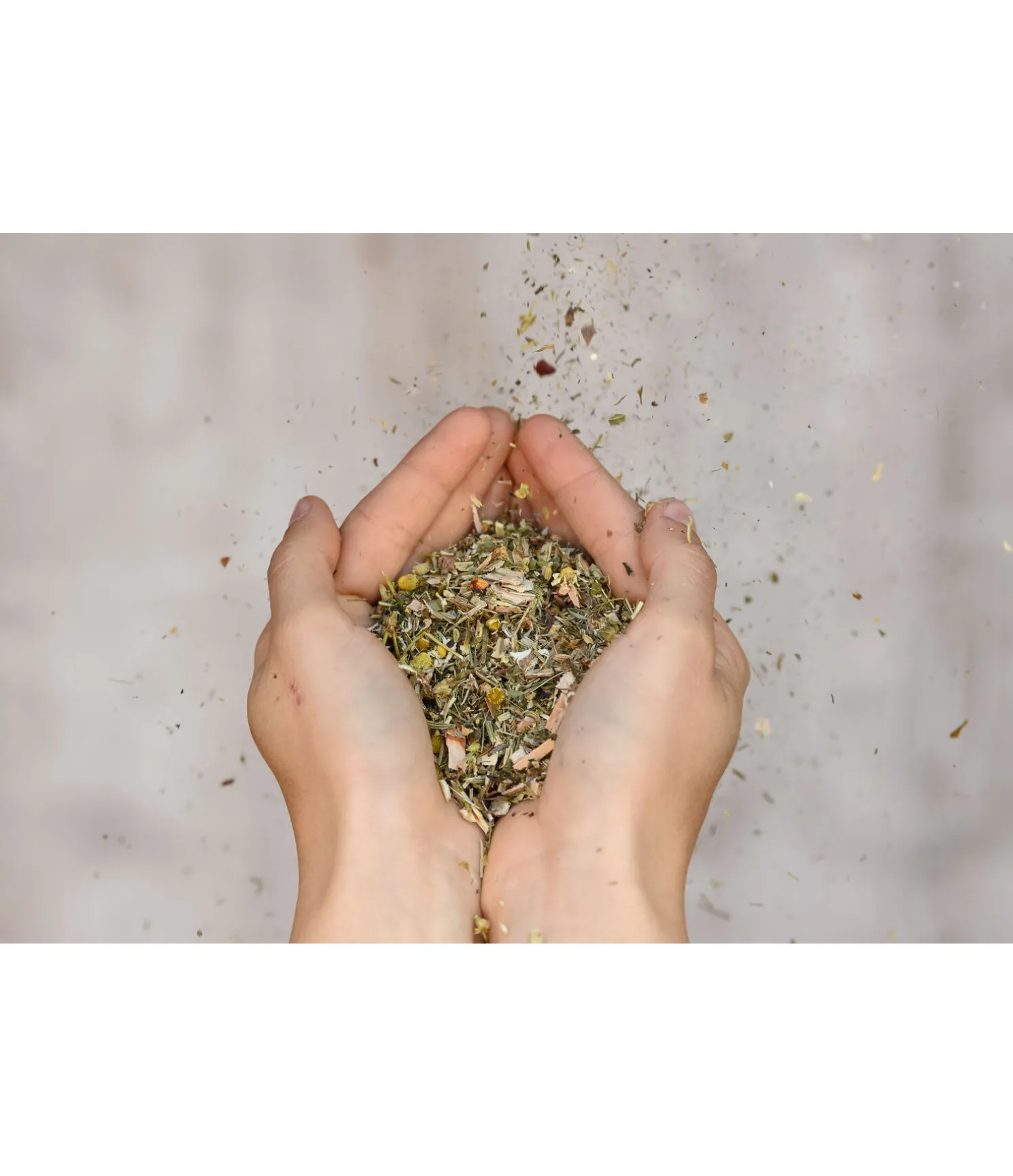 Herbes Automne & Hiver