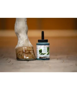 Huile pour sabots avec pinceau