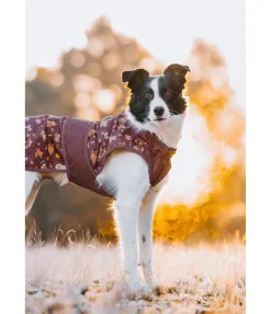 Imperméable pour chien Pumpkin Spice, 0 g