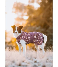 Imperméable pour chien Pumpkin Spice, 0 g