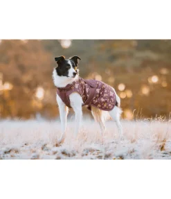 Imperméable pour chien Pumpkin Spice, 0 g